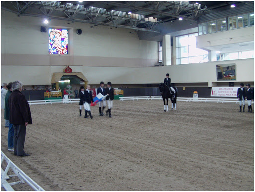 Проект и строительство конного манежа