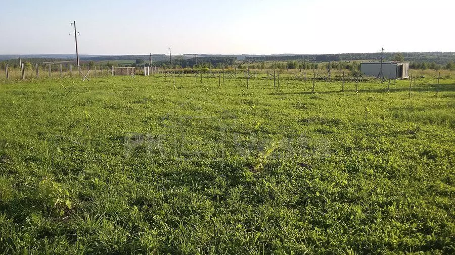 PK Vesta announces the erection of the pre-engineered wine farm 8W х 10L х 5H in the Tula region, Russia.